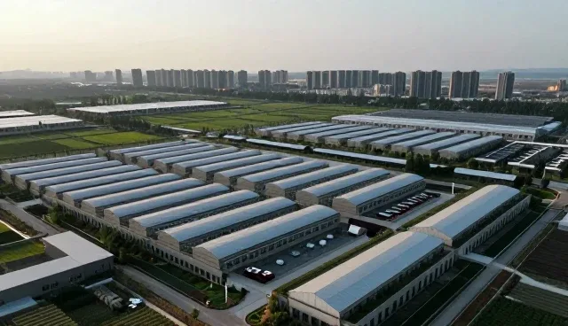 产品性能与适用条件的精准匹配策略